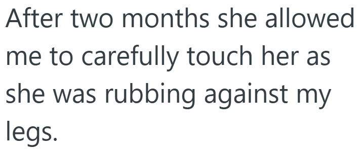 After two months she allowed me to carefully touch her as she was rubbing against my legs.