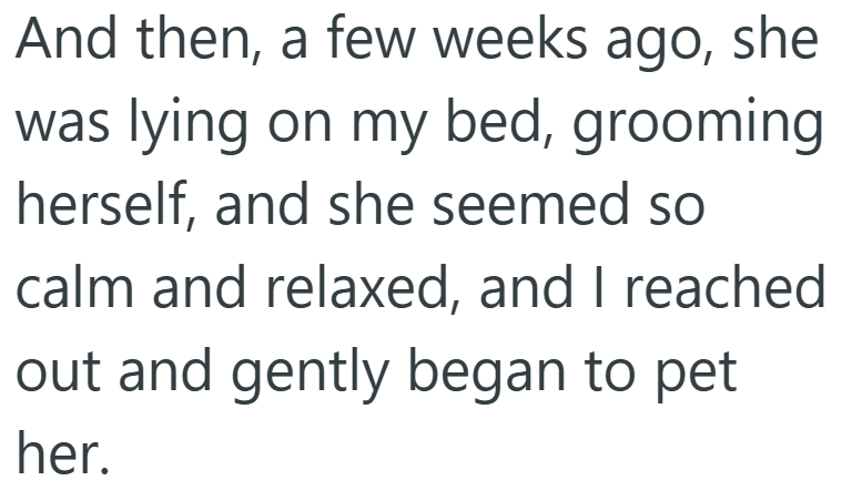 And then, a few weeks ago, she was lying on my bed, grooming herself, and she seemed so calm and relaxed, and I reached out and gently began to pet her.
