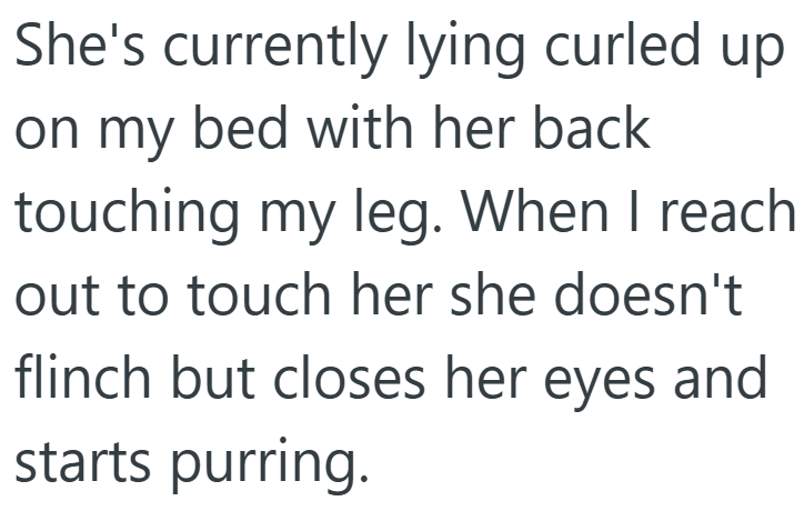 She's currently lying curled up on my bed with her back touching my leg. When I reach out to touch her she doesn't flinch but closes her eyes and starts purring.