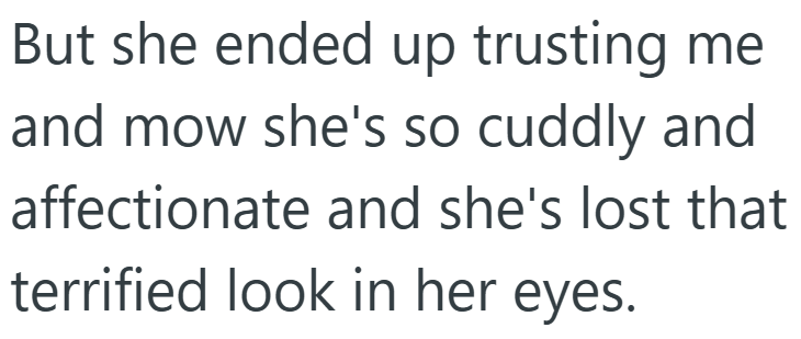 But she ended up trusting me and mow she's so cuddly and affectionate and she's lost that terrified look in her eyes.