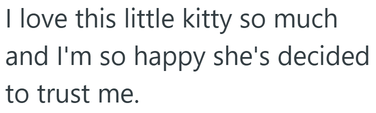 I love this little kitty so much and I'm so happy she's decided to trust me.