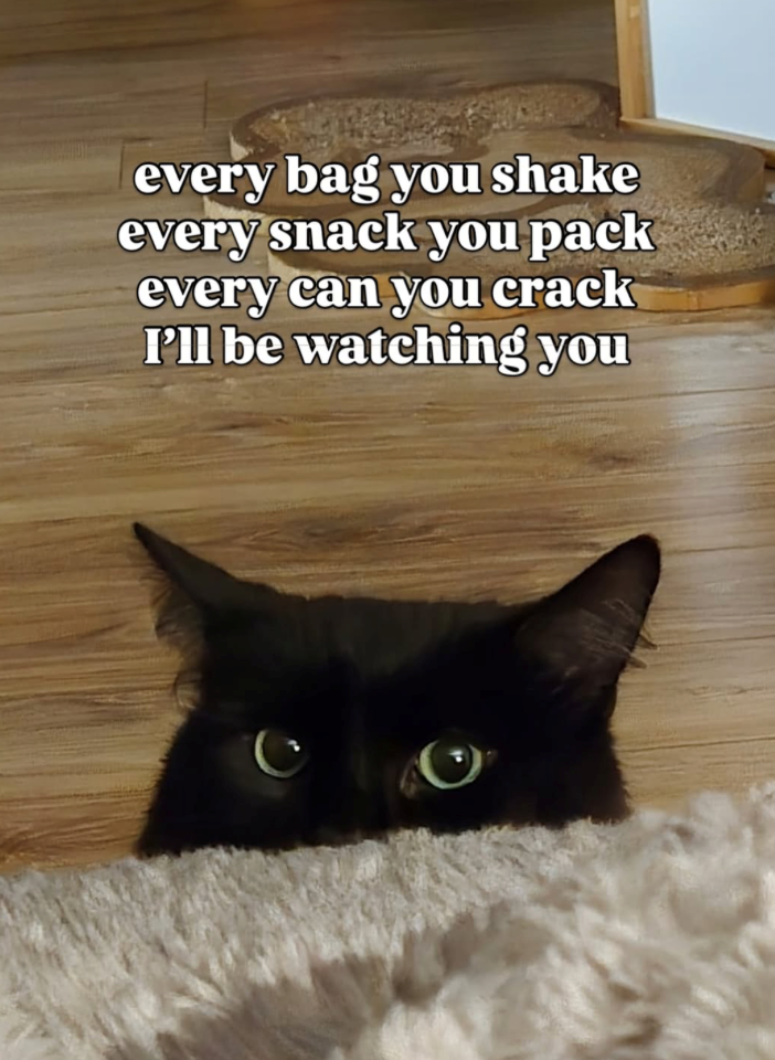 every bag you shake every snack you pack every can you crack I'll be watching you