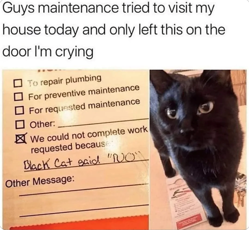 Guys maintenance tried to visit my house today and only left this on the door I'm crying ☐ To repair plumbing For preventive maintenance For requested maintenance Other: ✓ We could not complete work requested because Black Cat said "NO" Other Message: