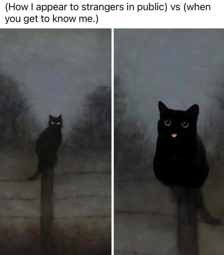 (How I appear to strangers in public) vs (when you get to know me.)