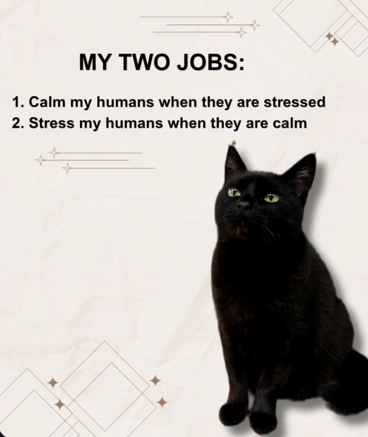 MY TWO JOBS: 1. Calm my humans when they are stressed 2. Stress my humans when they are calm