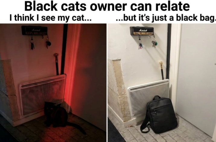 Black cats owner can relate I think I see my cat... ...but it's just a black bag.