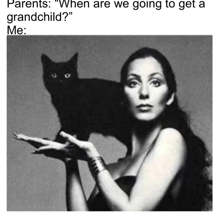 Parents: "When are we going to get a grandchild?" Me: