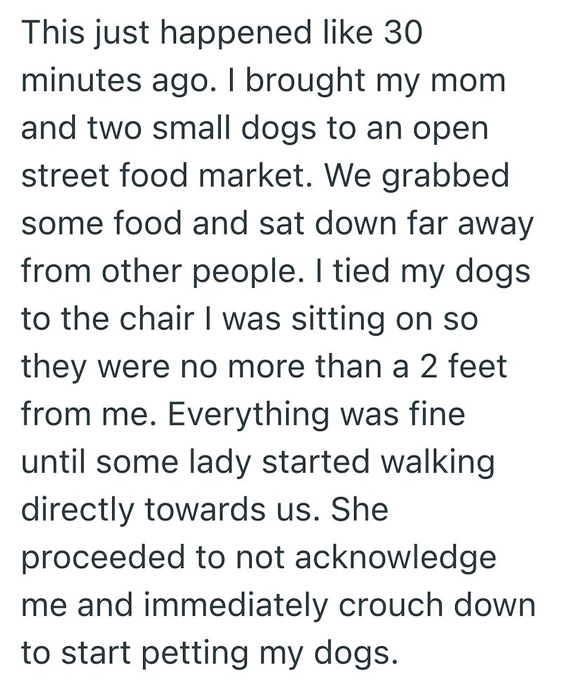 This just happened like 30 minutes ago. I brought my mom and two small dogs to an open street food market. We grabbed some food and sat down far away from other people. I tied my dogs. to the chair I was sitting on so they were no more than a 2 feet from me. Everything was fine until some lady started walking directly towards us. She proceeded to not acknowledge me and immediately crouch down to start petting my dogs.