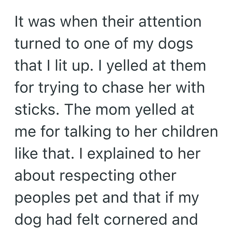 It was when their attention turned to one of my dogs that I lit up. I yelled at them for trying to chase her with sticks. The mom yelled at me for talking to her children like that. I explained to her about respecting other peoples pet and that if my dog had felt cornered and