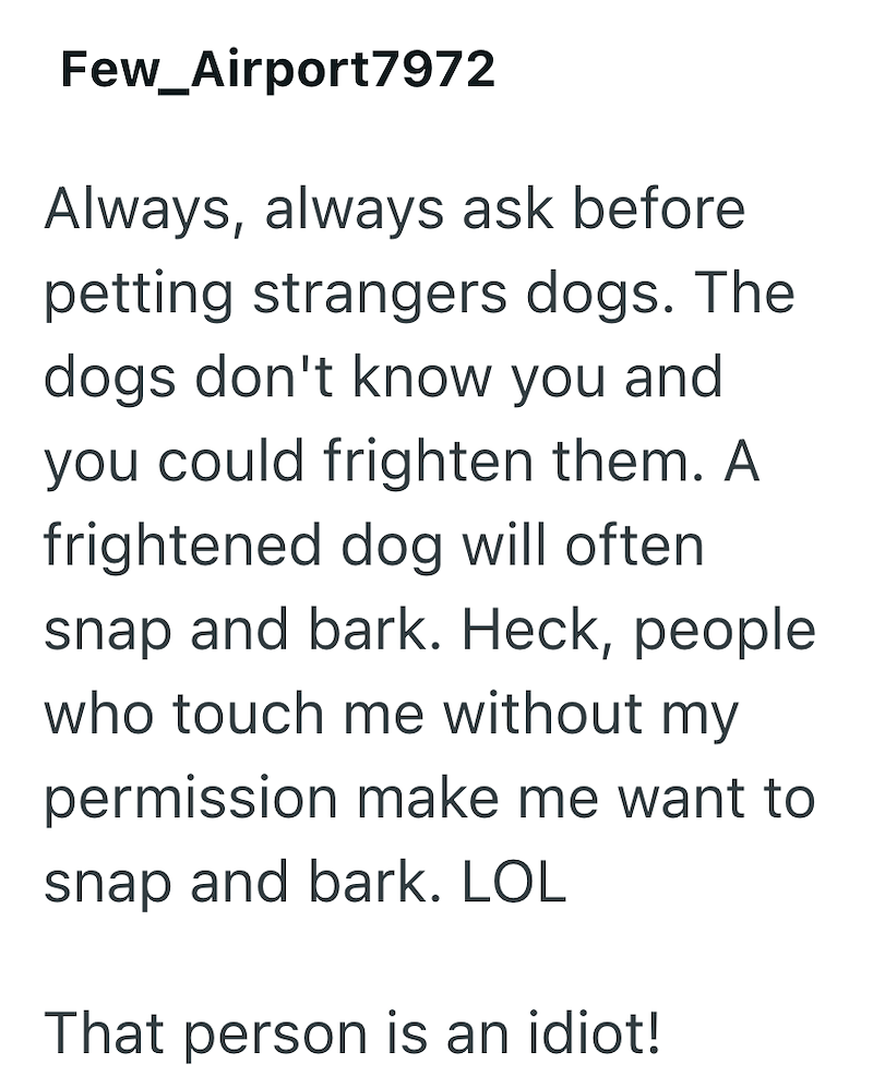 Few_Airport7972 Always, always ask before petting strangers dogs. The dogs don't know you and you could frighten them. A frightened dog will often snap and bark. Heck, people who touch me without my permission make me want to snap and bark. LOL That person is an idiot!