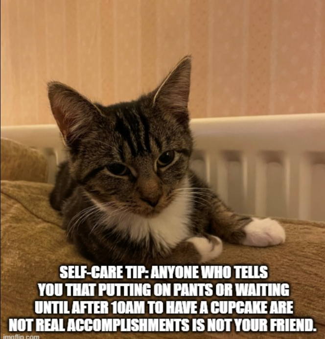 SELF-CARE TIP: ANYONE WHO TELLS YOU THAT PUTTING ON PANTS OR WAITING UNTIL AFTER 10AM TO HAVE A CUPCAKE ARE NOT REAL ACCOMPLISHMENTS IS NOT YOUR FRIEND. imaflin com