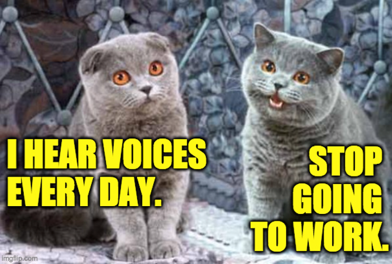 I HEAR VOICES EVERY DAY. STOP GOING TO WORK. imgflip.com