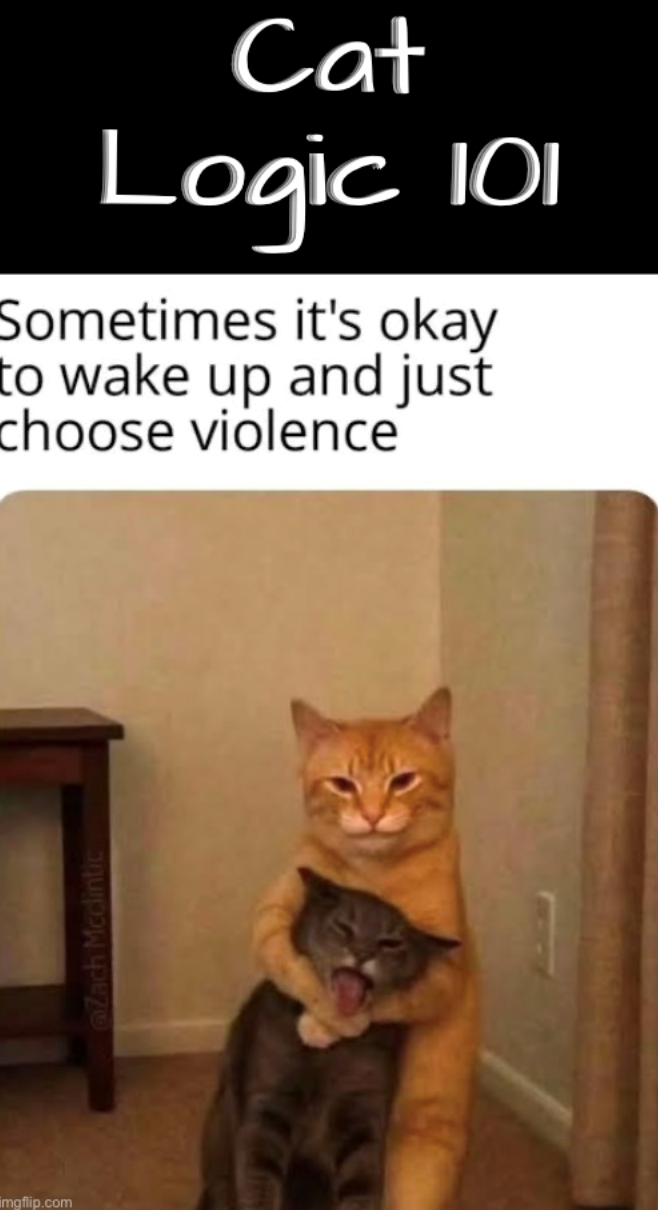 imgflip.com @Zach Mcclintic Cat Logic JOI Sometimes it's okay to wake up and just choose violence