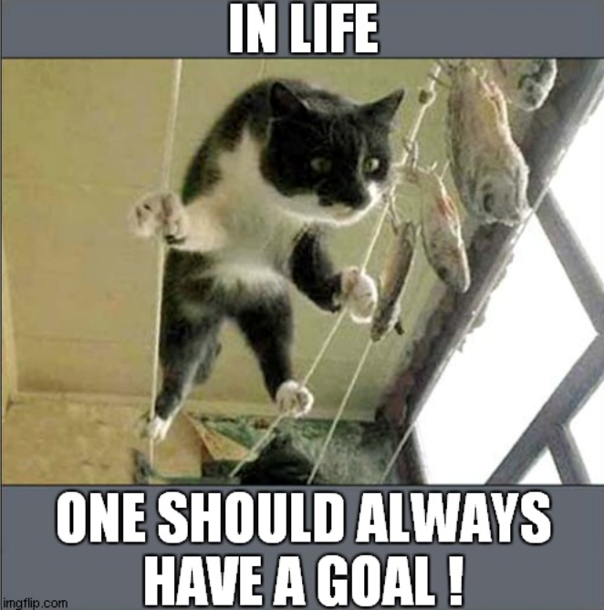 imgflip.com IN LIFE ONE SHOULD ALWAYS HAVE A GOAL!