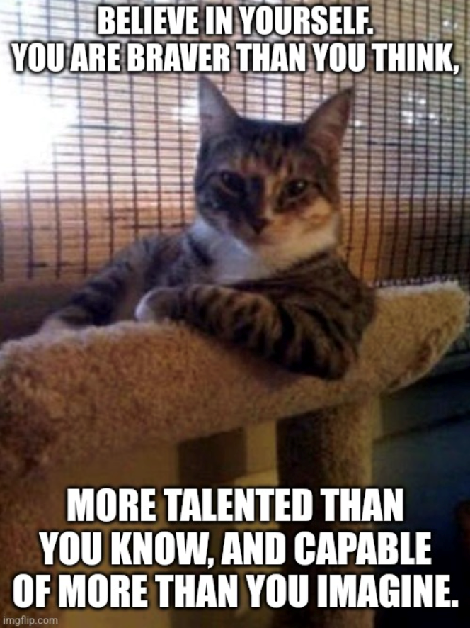 BELIEVE IN YOURSELF. YOU ARE BRAVER THAN YOU THINK, MORE TALENTED THAN YOU KNOW, AND CAPABLE OF MORE THAN YOU IMAGINE. imgflip.com