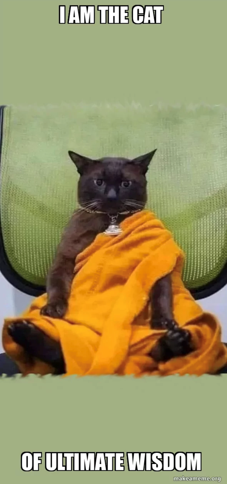 I AM THE CAT OF ULTIMATE WISDOM makeameme.org