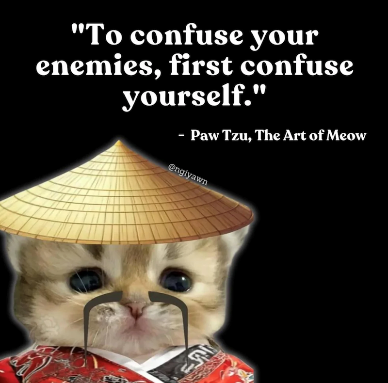 "To confuse your enemies, first confuse yourself." - Paw Tzu, The Art of Meow @ngiyawn