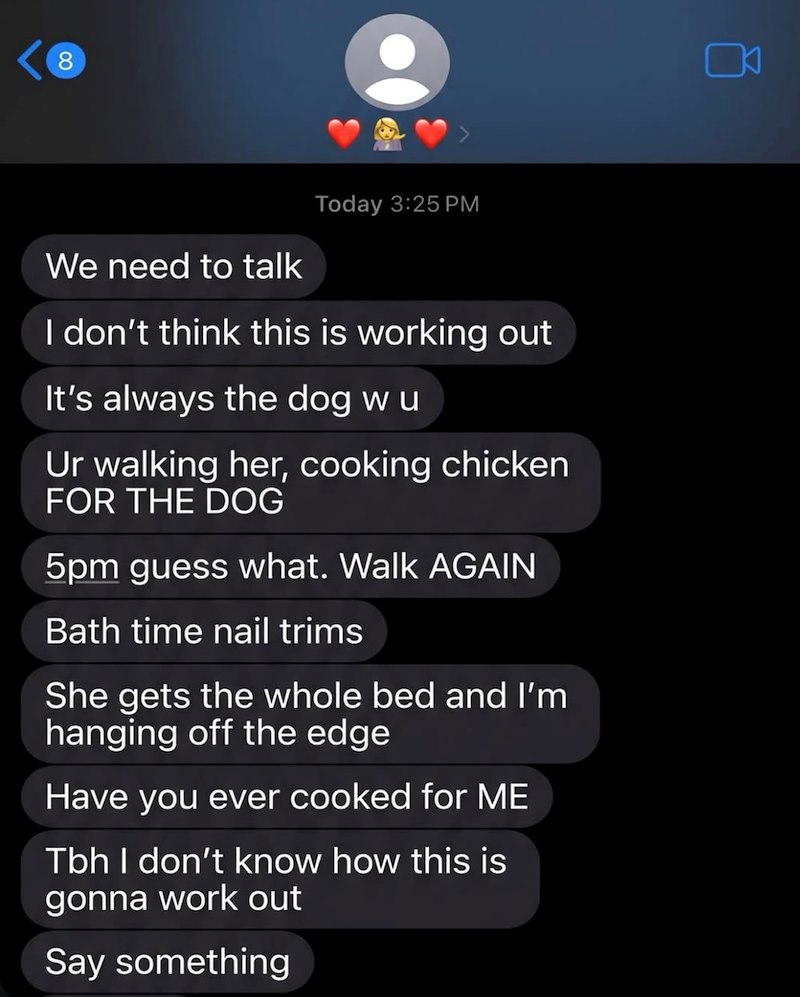 80 K We need to talk Today 3:25 PM I don't think this is working out It's always the dog w u Ur walking her, cooking chicken FOR THE DOG 5pm guess what. Walk AGAIN Bath time nail trims She gets the whole bed and I'm hanging off the edge Have you ever cooked for ME Tbh I don't know how this is gonna work out Say something