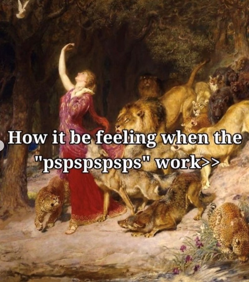 How it be feeling when the "pspspspsps" work>>