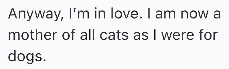 Anyway, I'm in love. I am now a mother of all cats as I were for dogs.