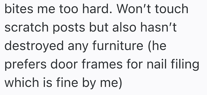 bites me too hard. Won't touch scratch posts but also hasn't destroyed any furniture (he prefers door frames for nail filing which is fine by me)