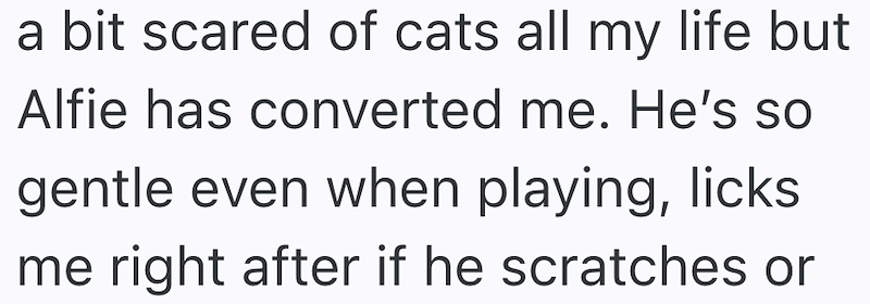 a bit scared of cats all my life but Alfie has converted me. He's so gentle even when playing, licks me right after if he scratches or