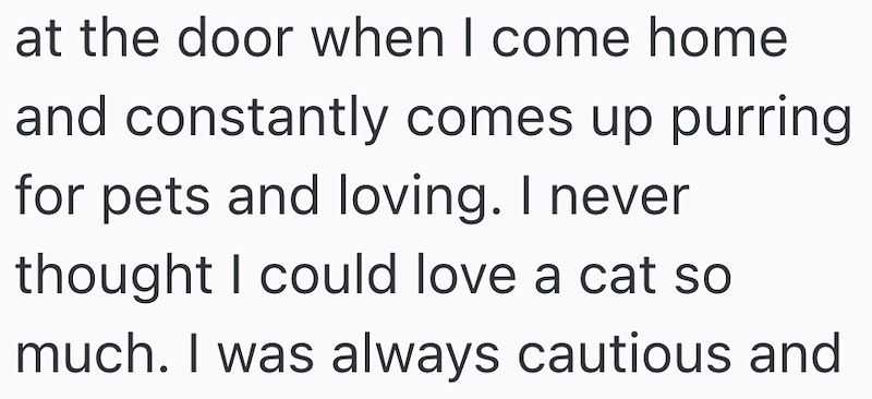 at the door when I come home and constantly comes up purring for pets and loving. I never thought I could love a cat so much. I was always cautious and
