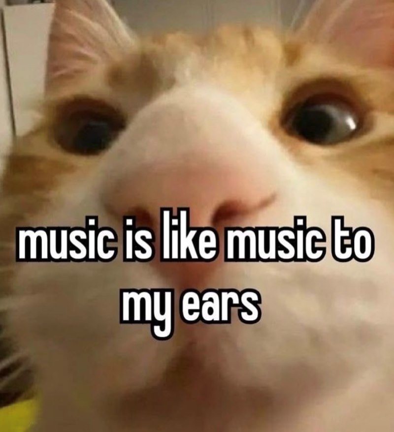 music is like music to my ears
