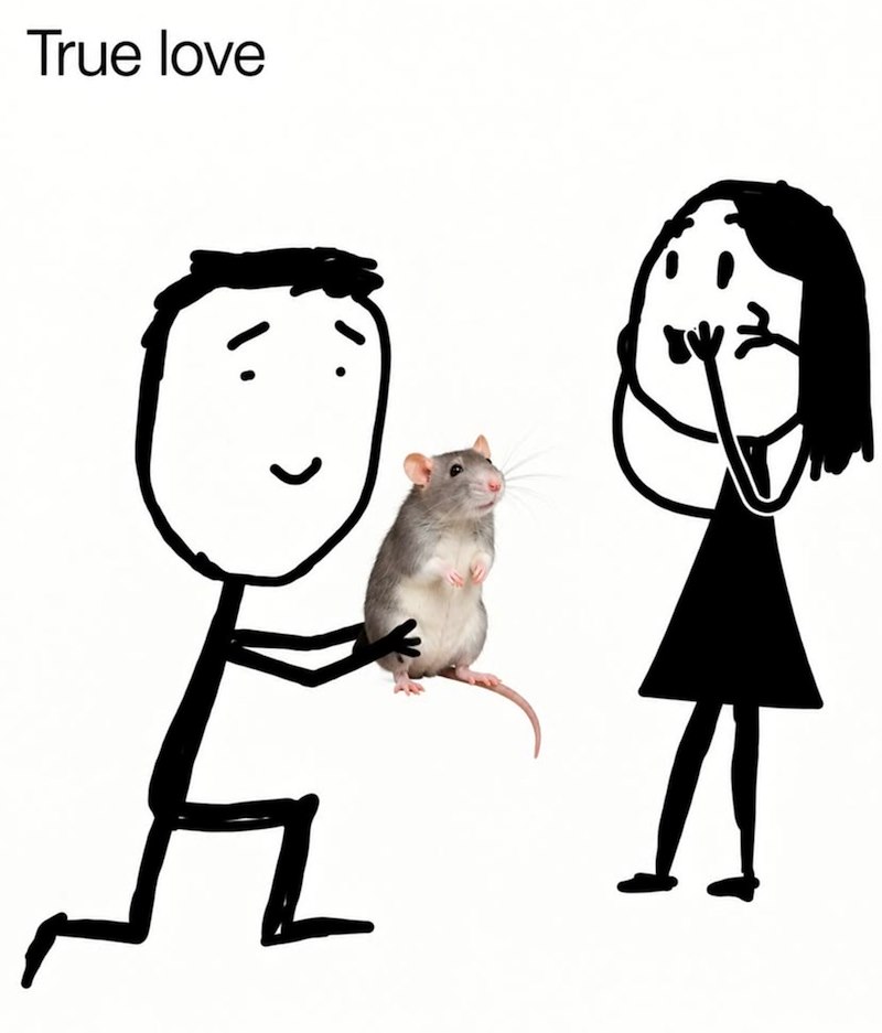 True love