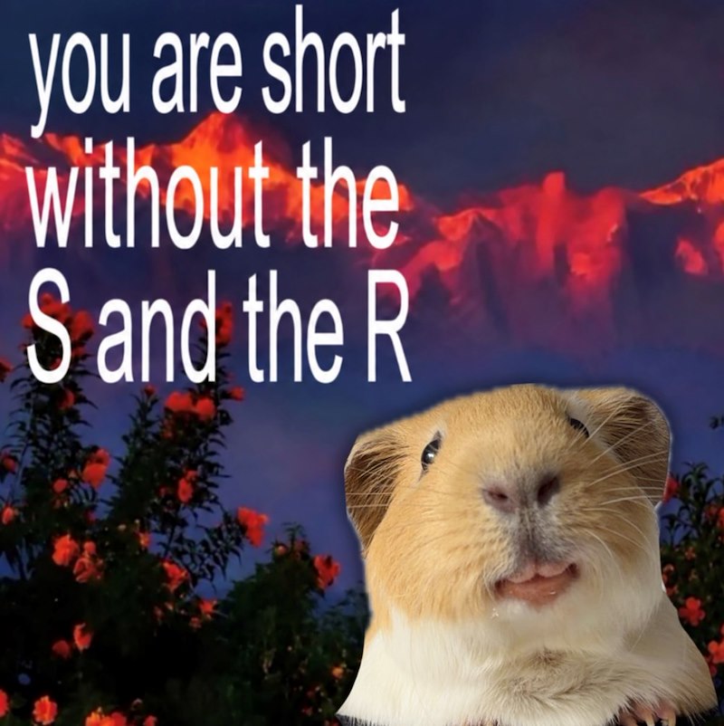 you are short without the S and the R