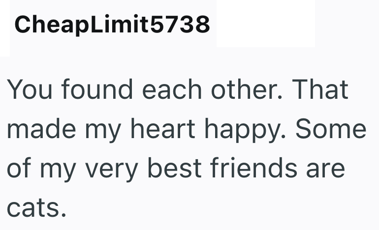CheapLimit5738 You found each other. That made my heart happy. Some of my very best friends are cats.