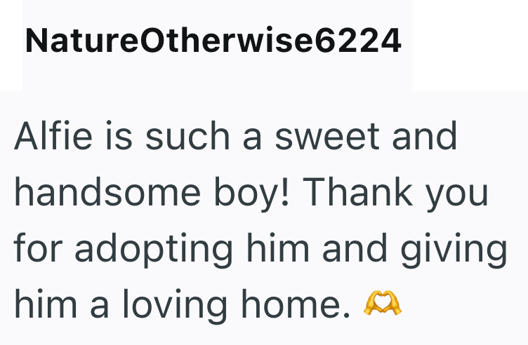 NatureOtherwise6224 Alfie is such a sweet and handsome boy! Thank you for adopting him and giving him a loving home.