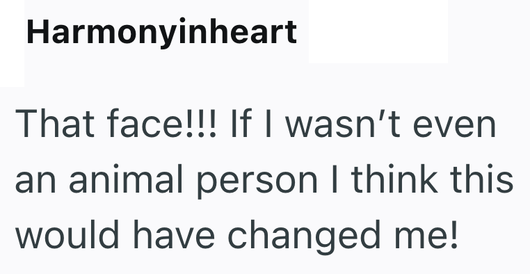 Harmonyinheart That face!!! If I wasn't even an animal person I think this would have changed me!