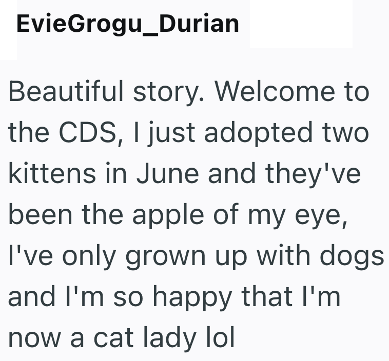 EvieGrogu_Durian Beautiful story. Welcome to the CDS, I just adopted two kittens in June and they've been the apple of my eye, I've only grown up with dogs and I'm so happy that I'm now a cat lady lol