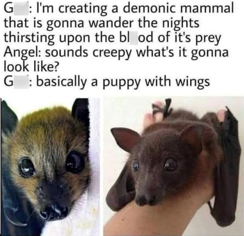 G : I'm creating a demonic mammal that is gonna wander the nights thirsting upon the blood of it's prey Angel: sounds creepy what's it gonna look like? G: basically a puppy with wings