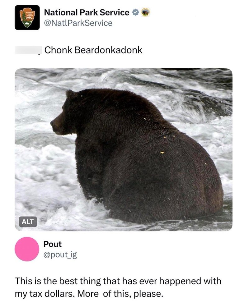 ALT National Park Service @NatlParkService Chonk Beardonkadonk Pout @pout_ig This is the best thing that has ever happened with my tax dollars. More of this, please.