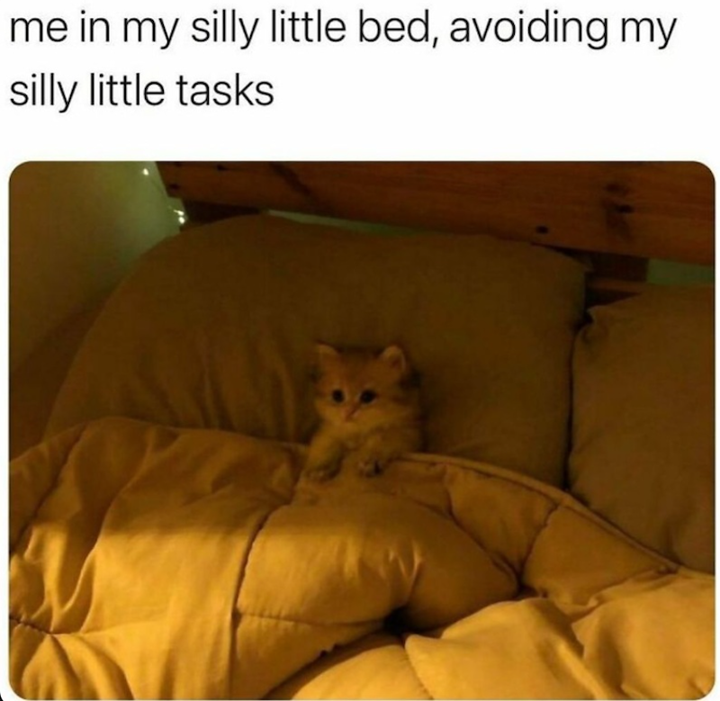 me in my silly little bed, avoiding my silly little tasks