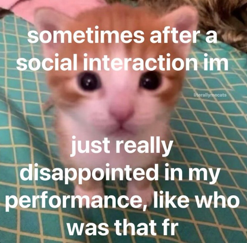 sometimes after a social interaction im literallymecats just really disappointed in my performance, like who was that fr