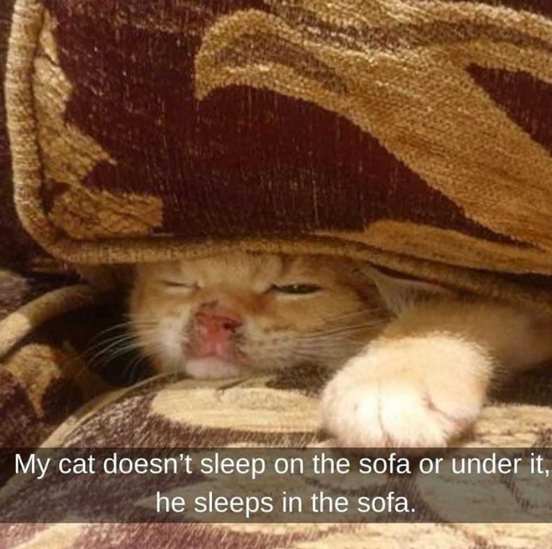 My cat doesn't sleep on the sofa or under it, he sleeps in the sofa.