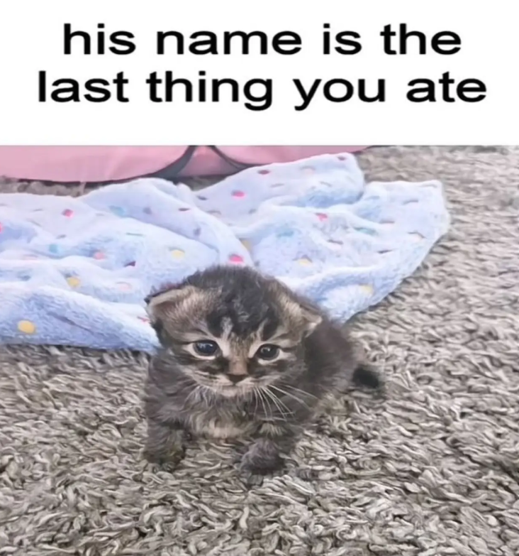 his name is the last thing you ate