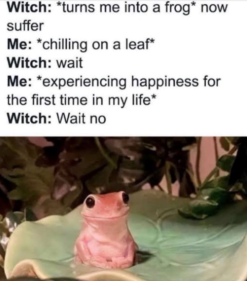 Witch: *turns me into a frog* now suffer Me: *chilling on a leaf* Witch: wait Me: *experiencing happiness for the first time in my life* Witch: Wait no