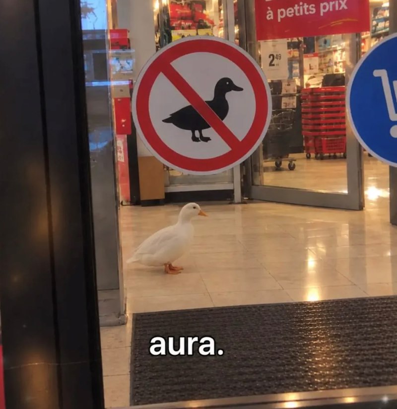 aura. à petits prix 249
