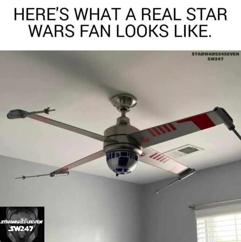 HERE'S WHAT A REAL STAR WARS FAN LOOKS LIKE. STARWARS24SEVEN SW247 STARWARS24SEVEN SW247