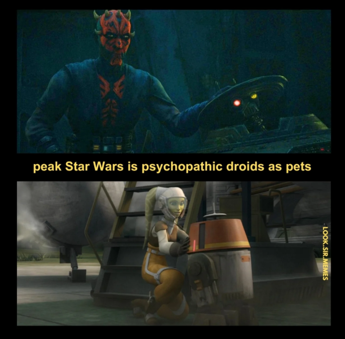 peak Star Wars is psychopathic droids as pets LOOK.SIR.MEMES