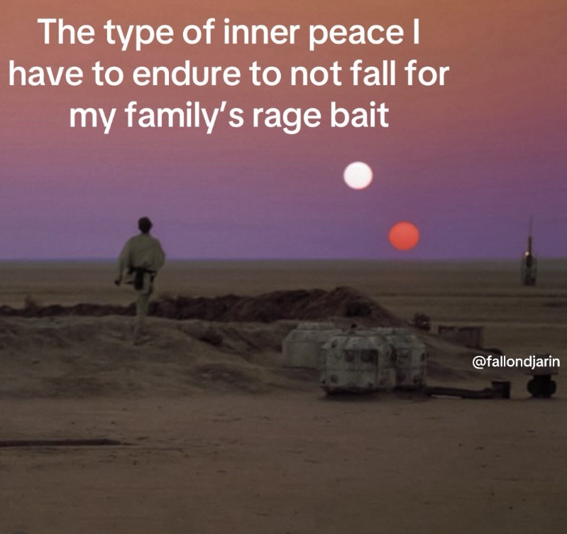 The type of inner peace I have to endure to not fall for my family's rage bait @fallondjarin