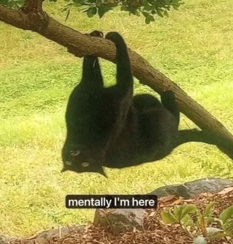 mentally I'm here