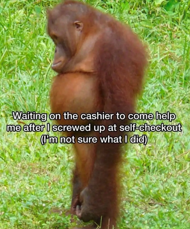 Waiting on the cashier to come help me after I screwed up at self-checkout (I'm not sure what I did)