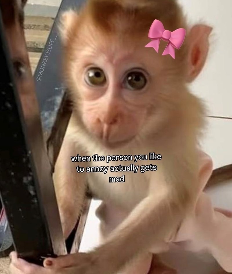 @MONKEY.ISLIFE_ when the person you like to annoy actually gets mad