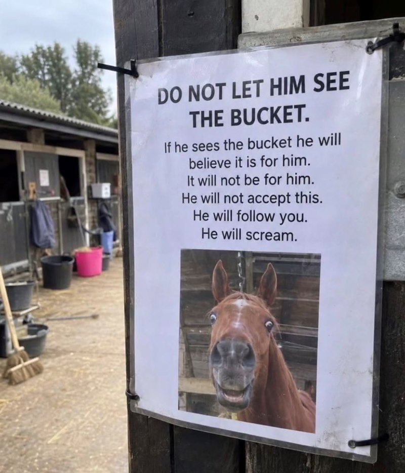 DO NOT LET HIM SEE THE BUCKET. If he sees the bucket he will believe it is for him. It will not be for him. He will not accept this. He will follow you. He will scream.