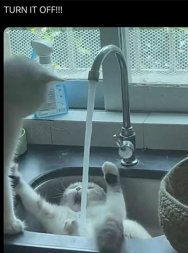 TURN IT OFF!!!